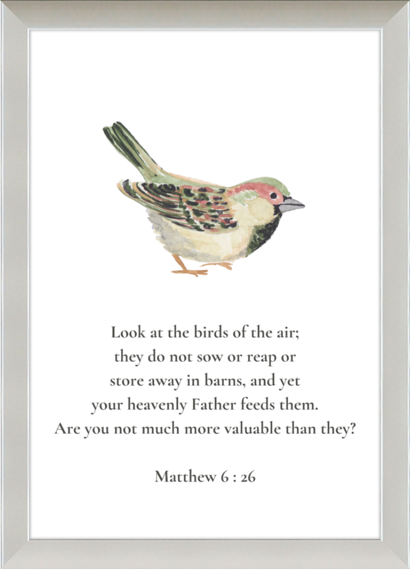 Matthew 6:26 NIV w/bird