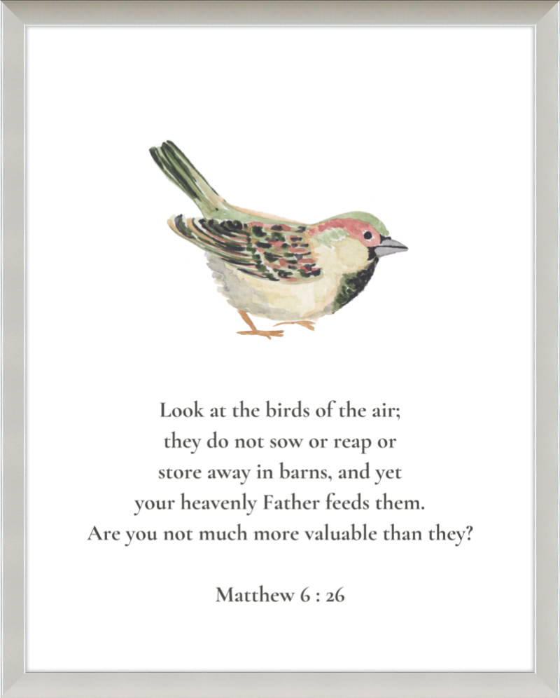 Matthew 6:26 NIV w/bird