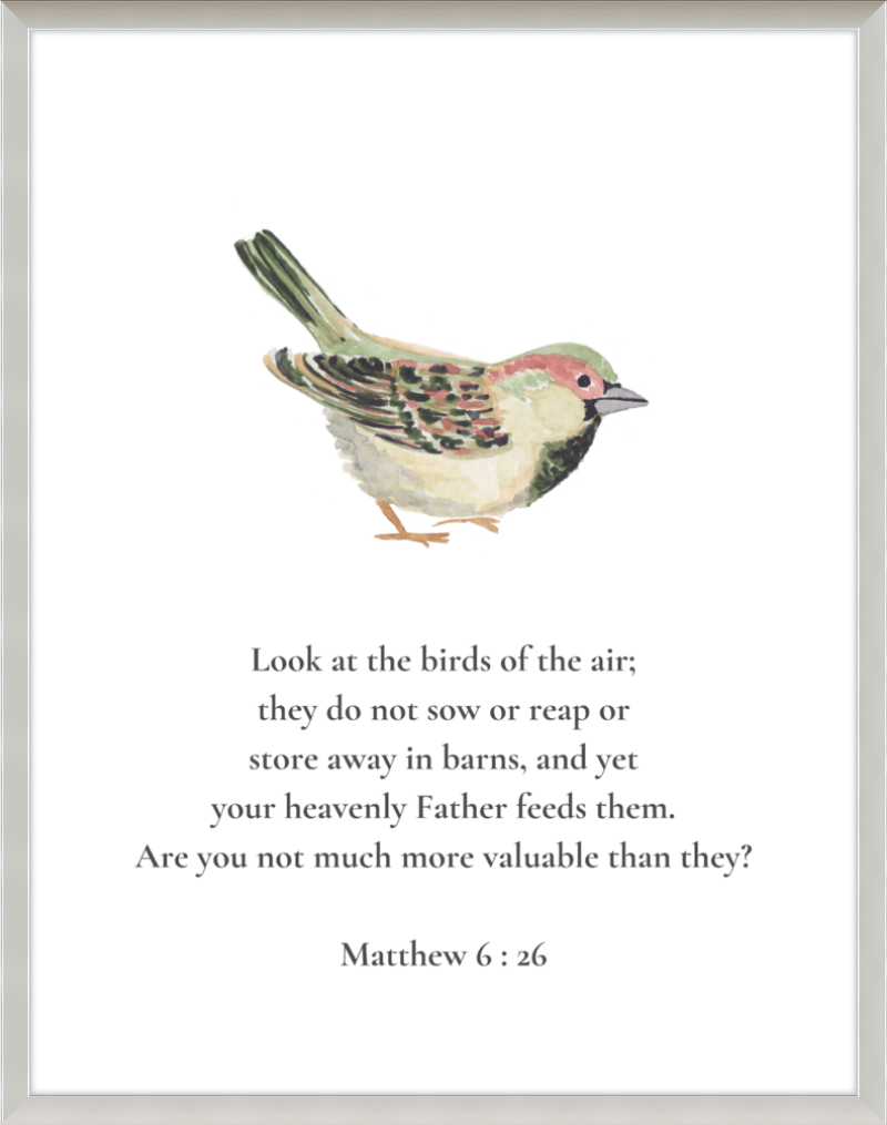 Matthew 6:26 NIV w/bird