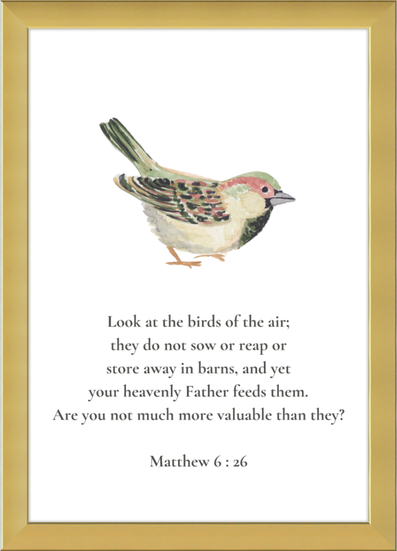 Matthew 6:26 NIV w/bird