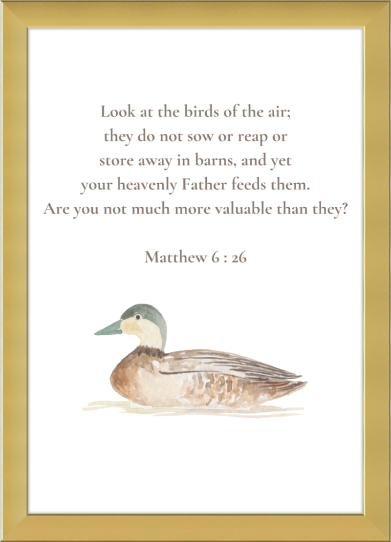 Matthew 6:26 NIV w/duck