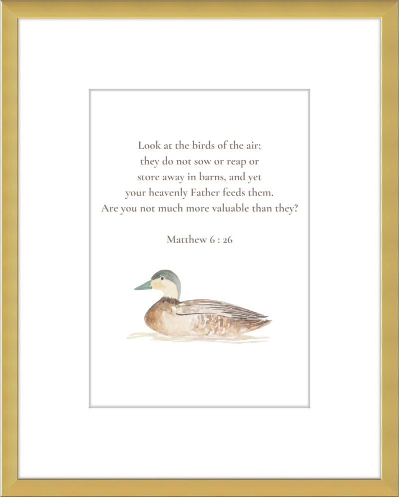 Matthew 6:26 NIV w/duck