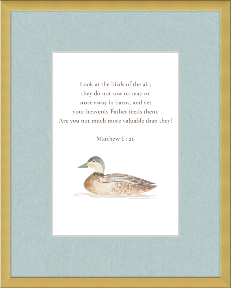 Matthew 6:26 NIV w/duck