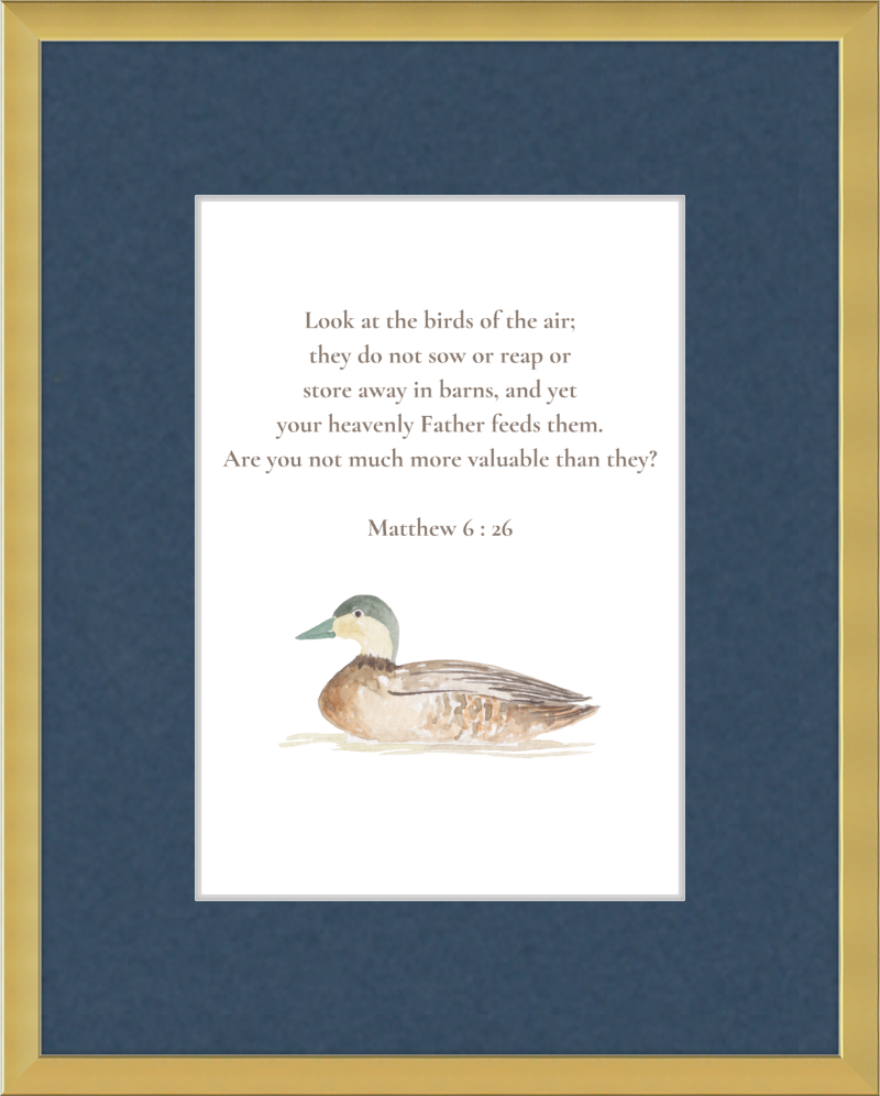 Matthew 6:26 NIV w/duck