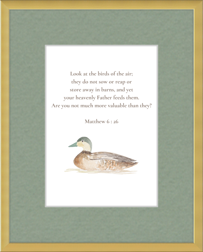 Matthew 6:26 NIV w/duck