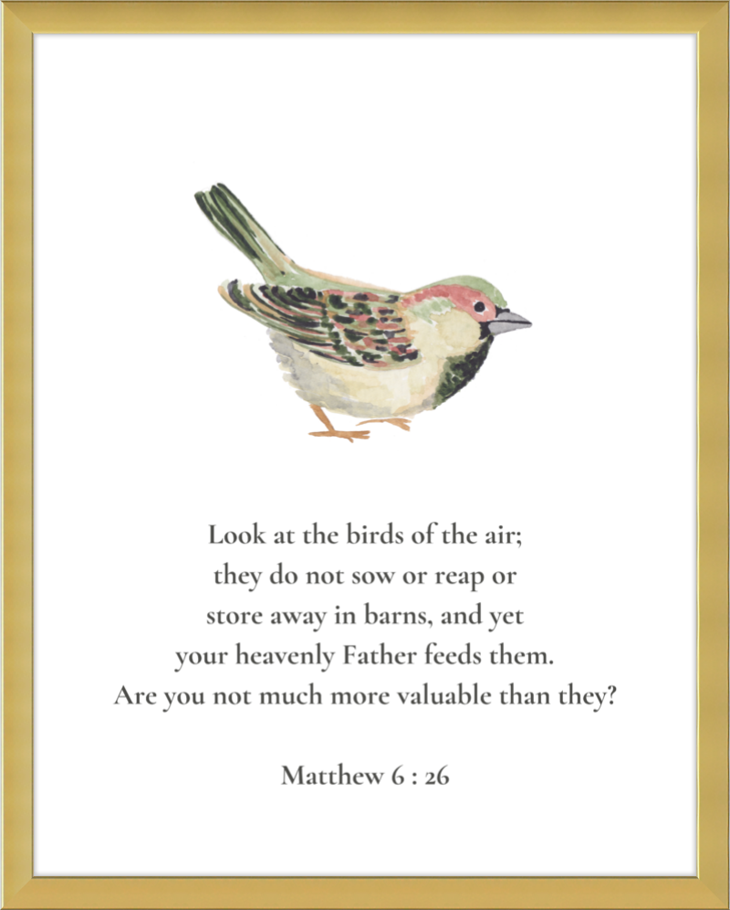 Matthew 6:26 NIV w/bird