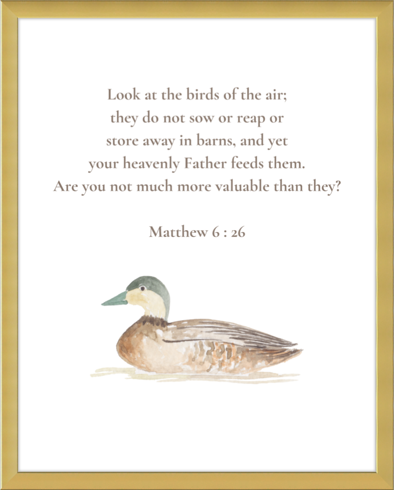 Matthew 6:26 NIV w/duck