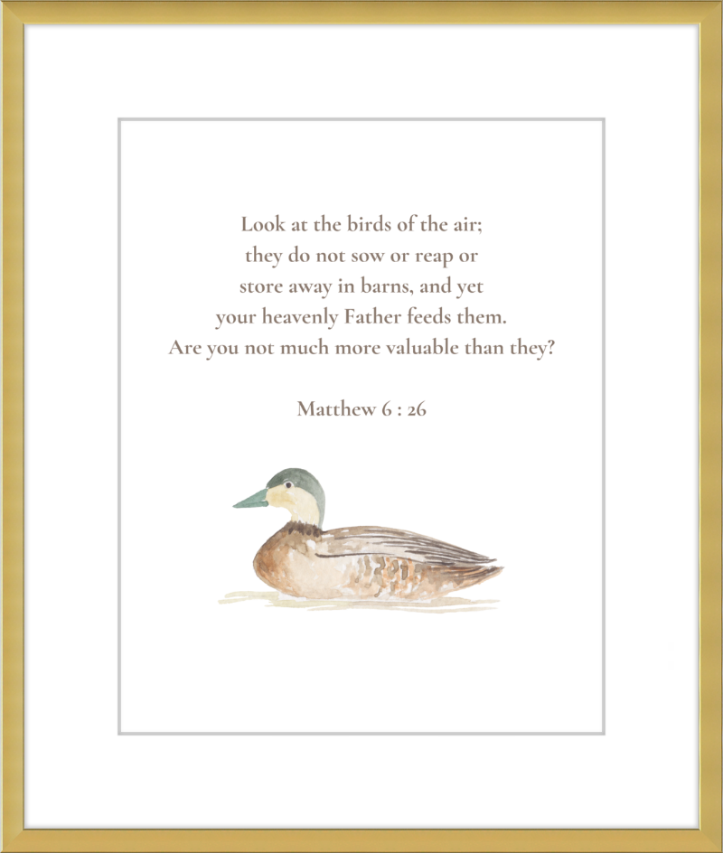 Matthew 6:26 NIV w/duck