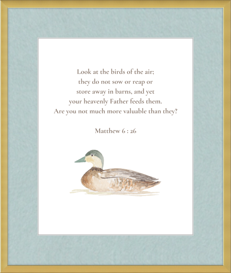 Matthew 6:26 NIV w/duck