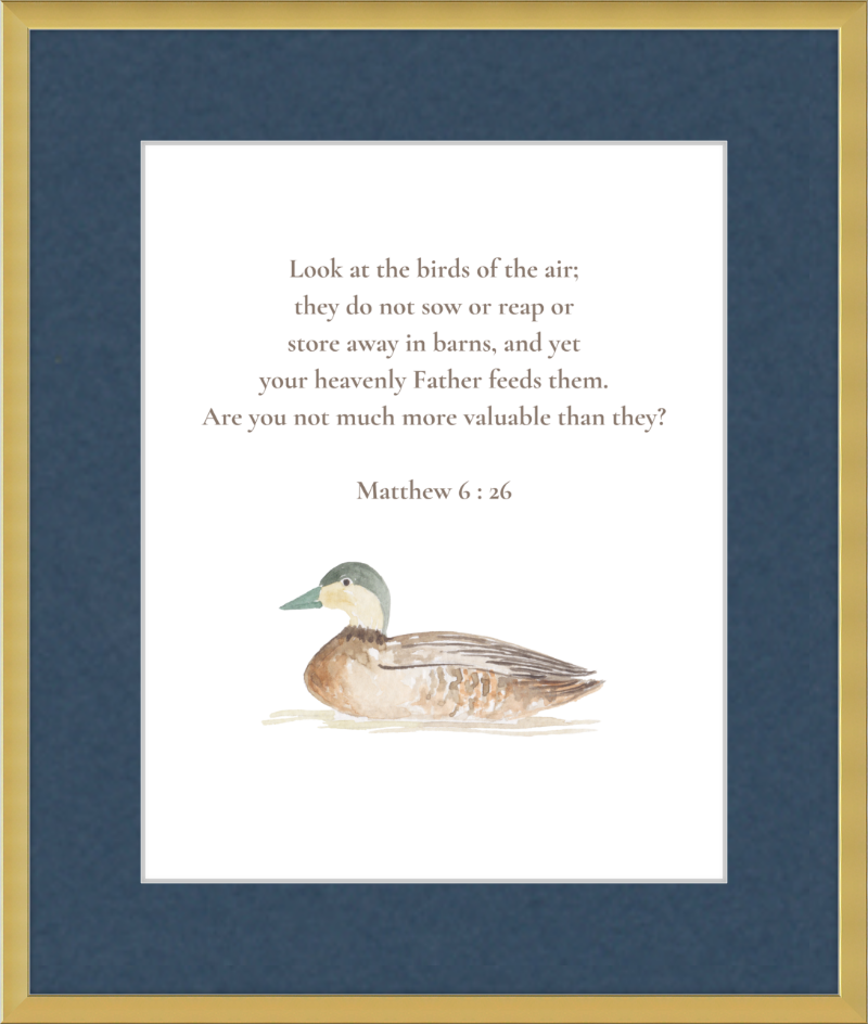 Matthew 6:26 NIV w/duck