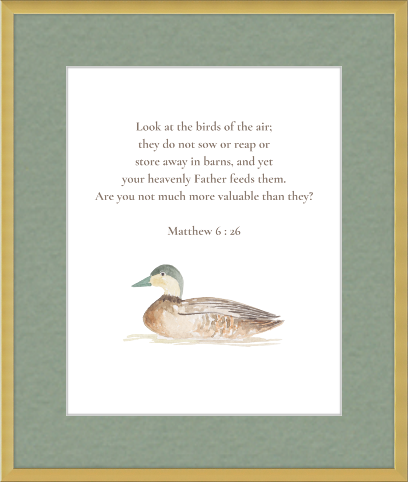 Matthew 6:26 NIV w/duck