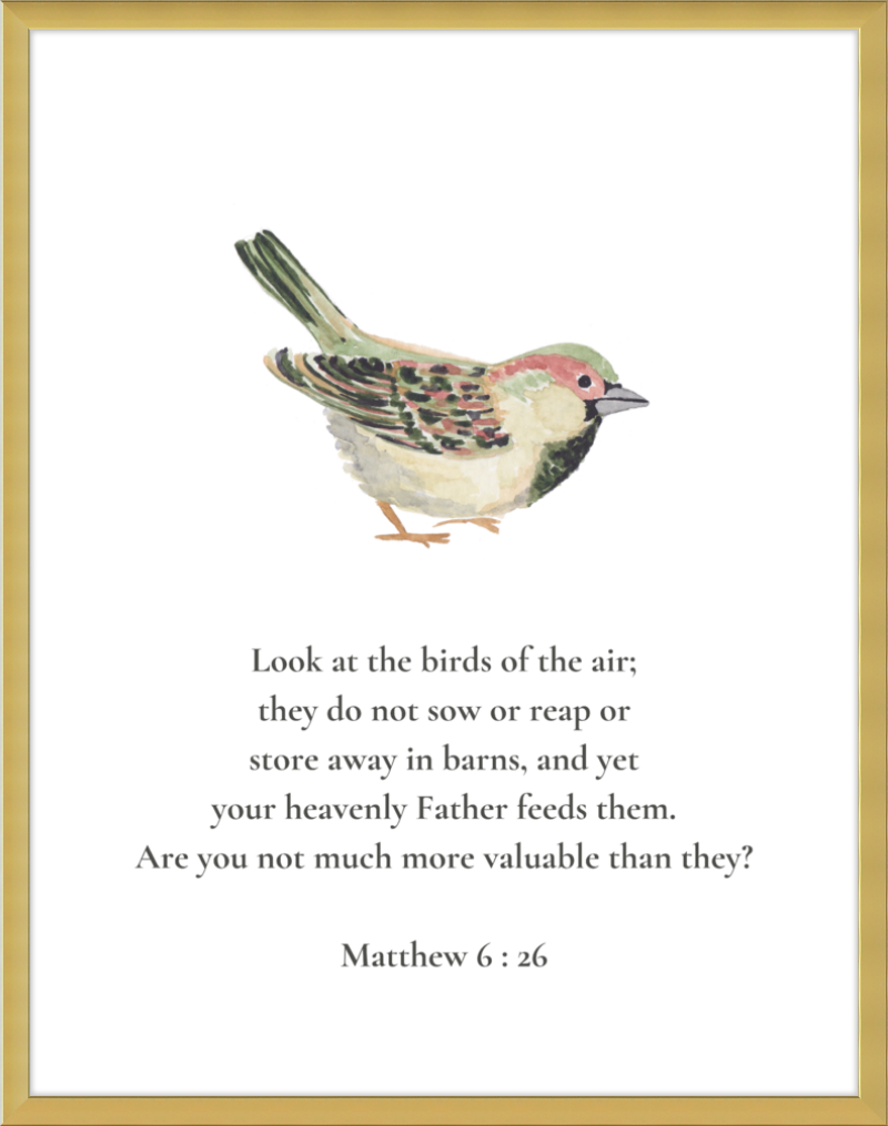 Matthew 6:26 NIV w/bird