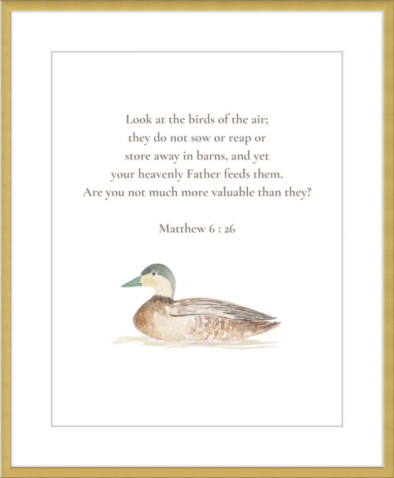 Matthew 6:26 NIV w/duck