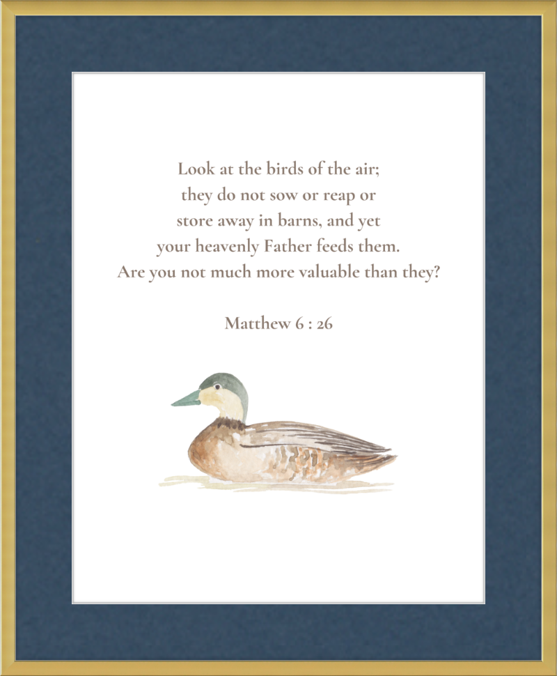 Matthew 6:26 NIV w/duck