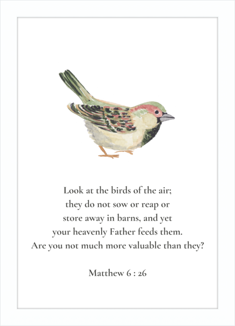 Matthew 6:26 NIV w/bird