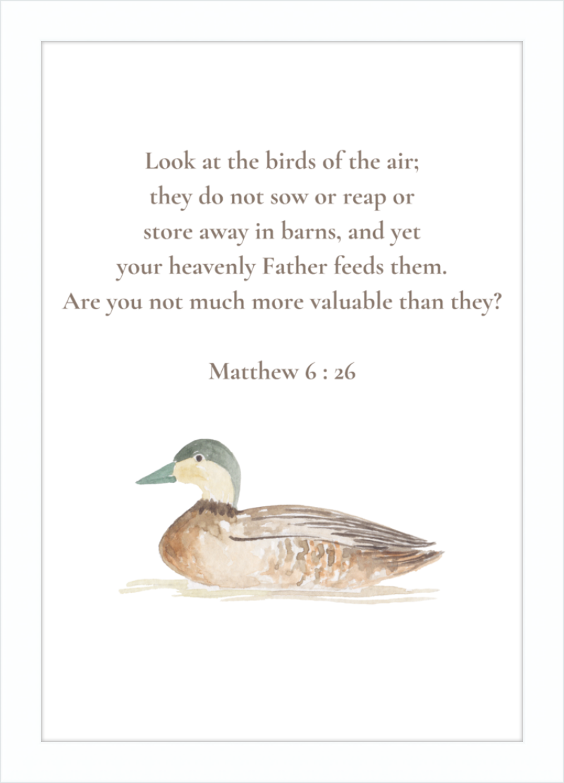 Matthew 6:26 NIV w/duck