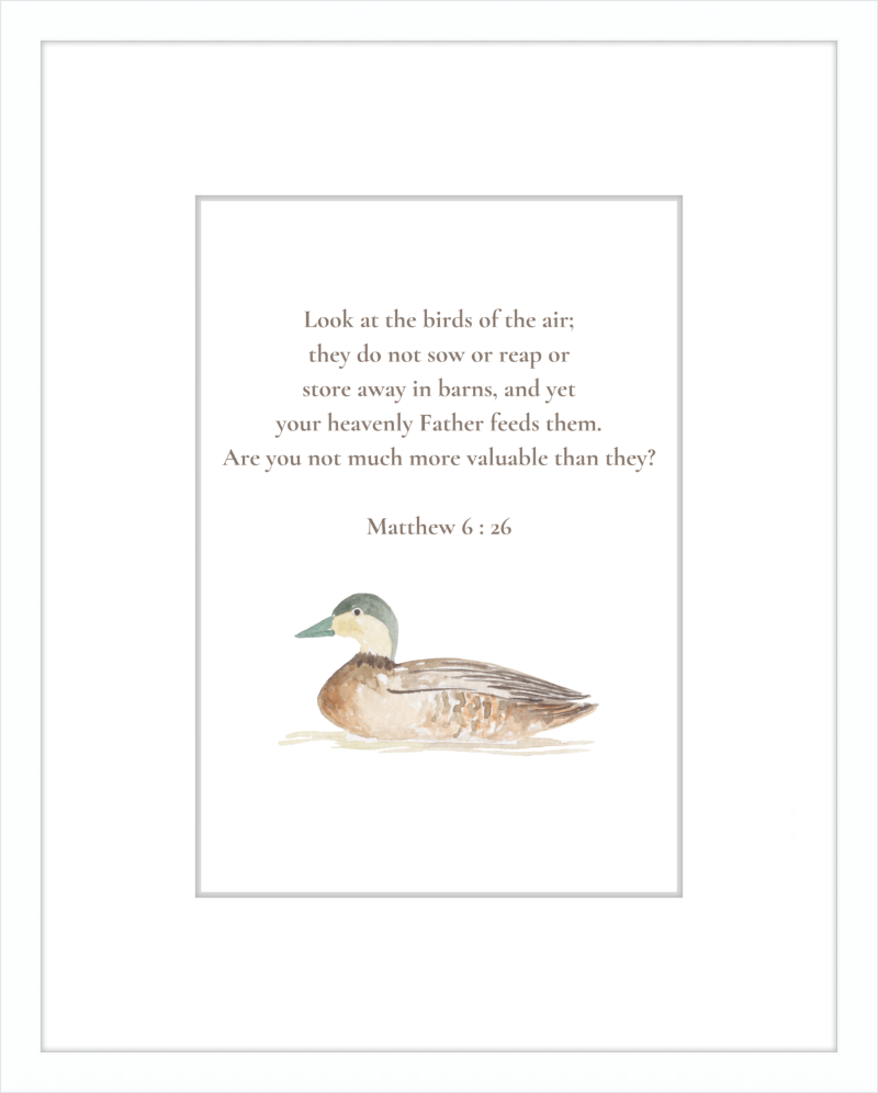 Matthew 6:26 NIV w/duck