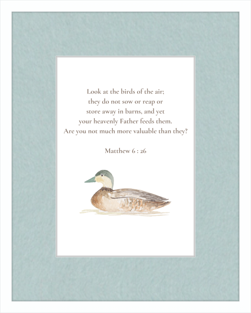 Matthew 6:26 NIV w/duck