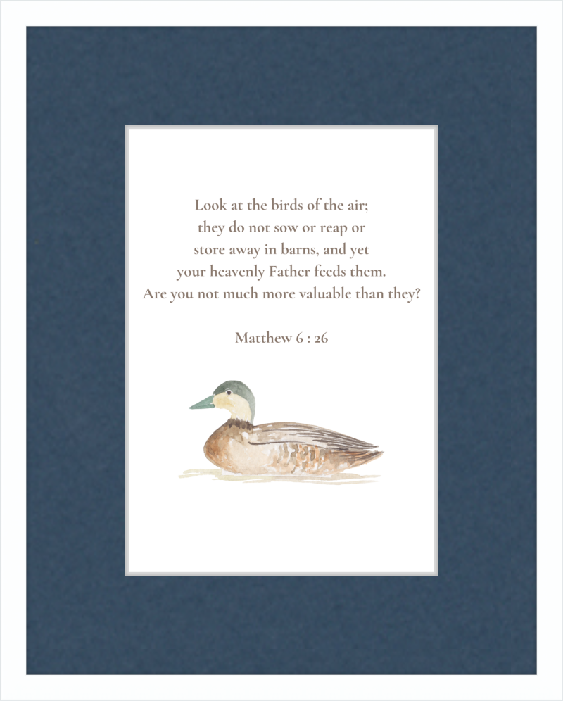 Matthew 6:26 NIV w/duck