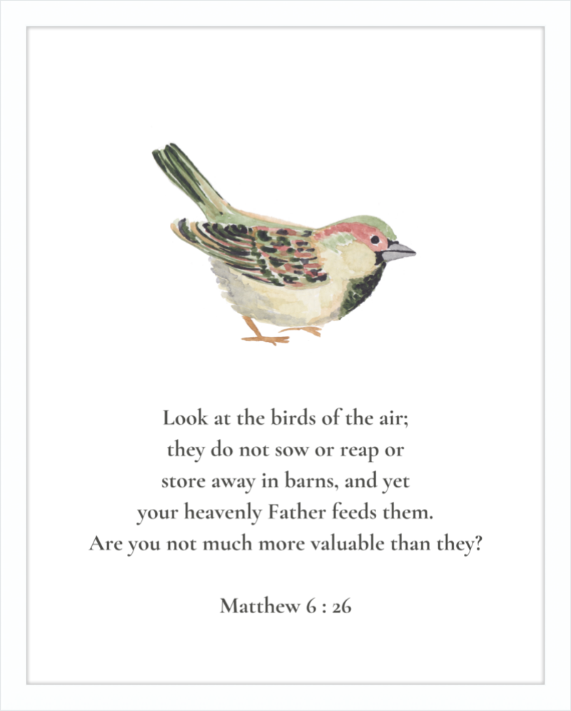 Matthew 6:26 NIV w/bird