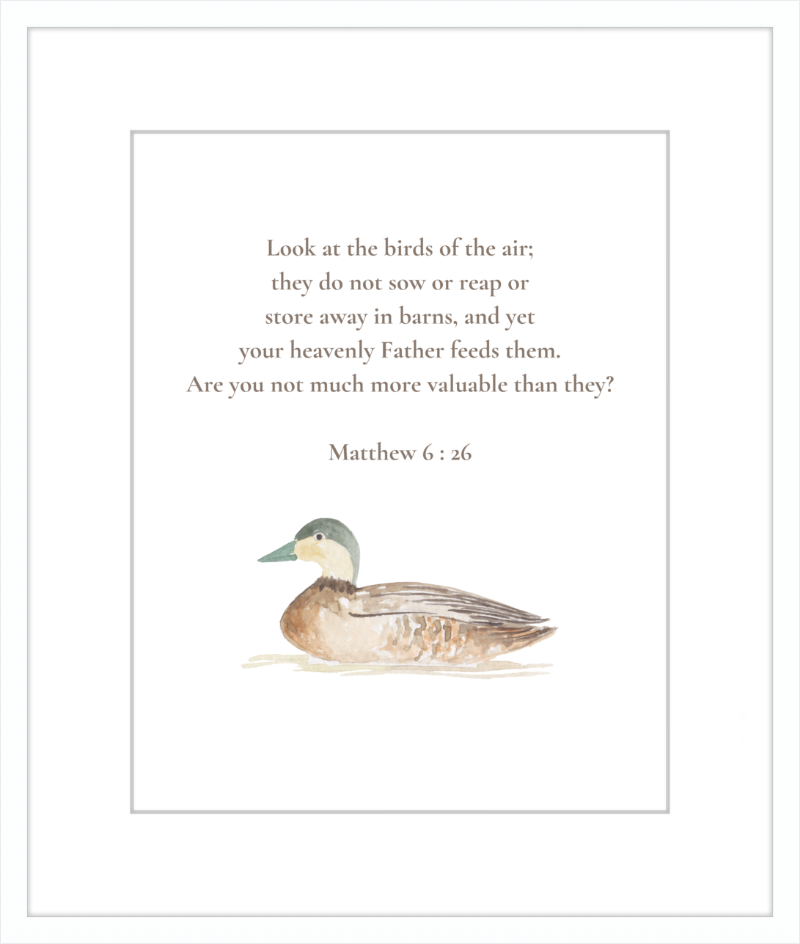 Matthew 6:26 NIV w/duck