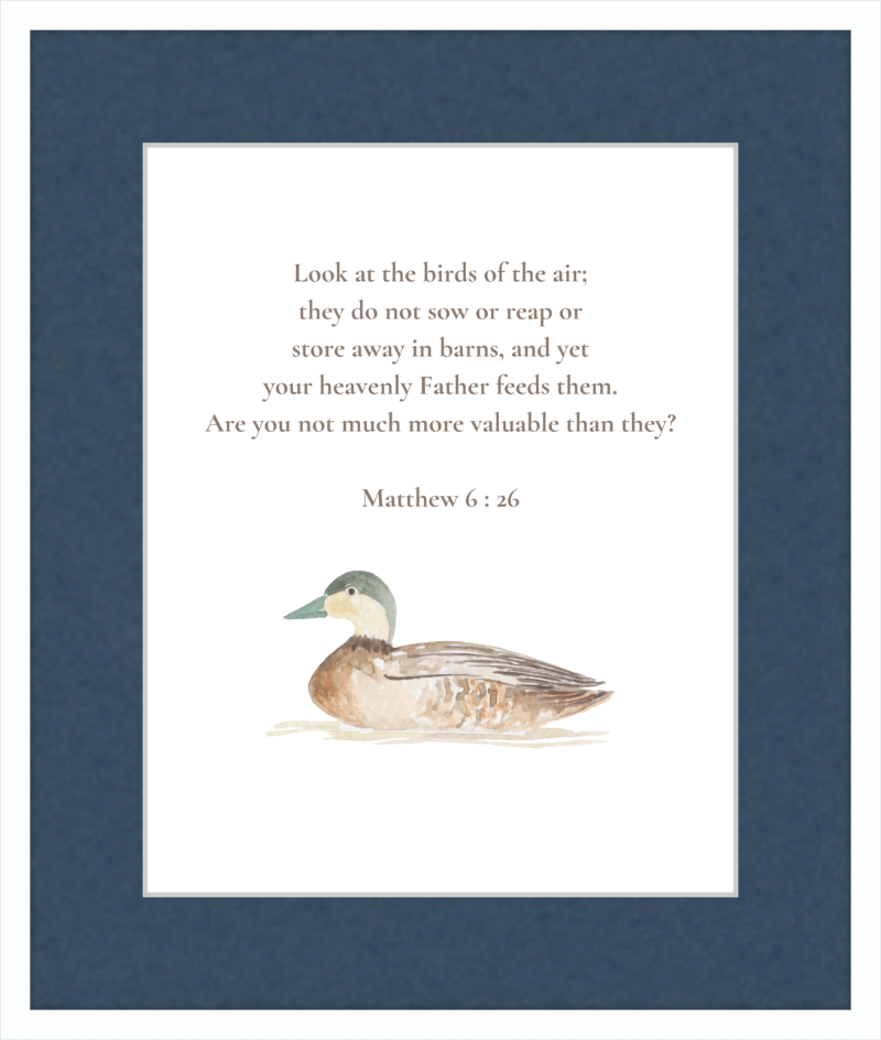 Matthew 6:26 NIV w/duck