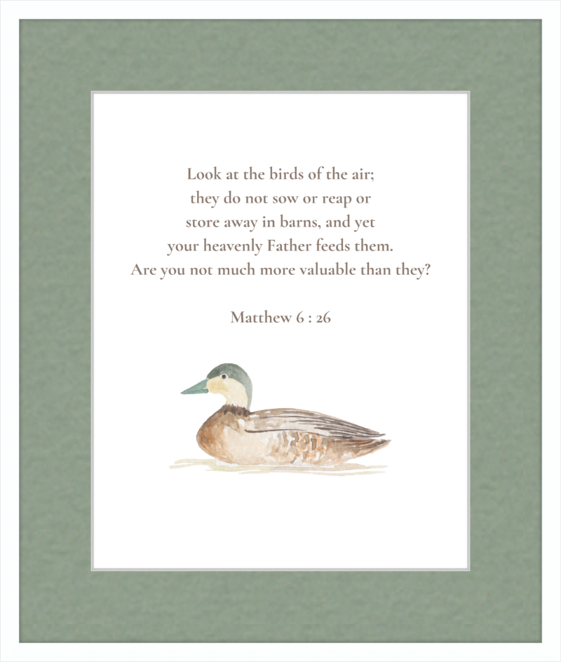 Matthew 6:26 NIV w/duck