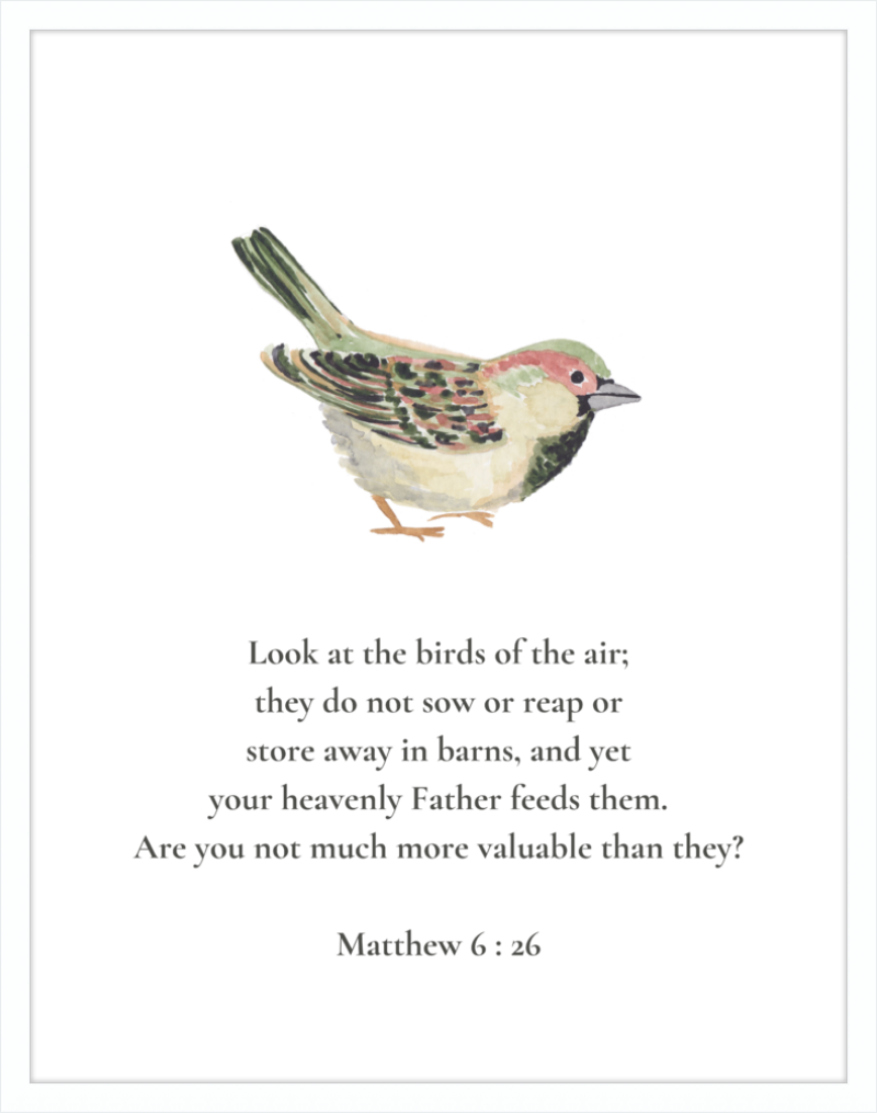 Matthew 6:26 NIV w/bird