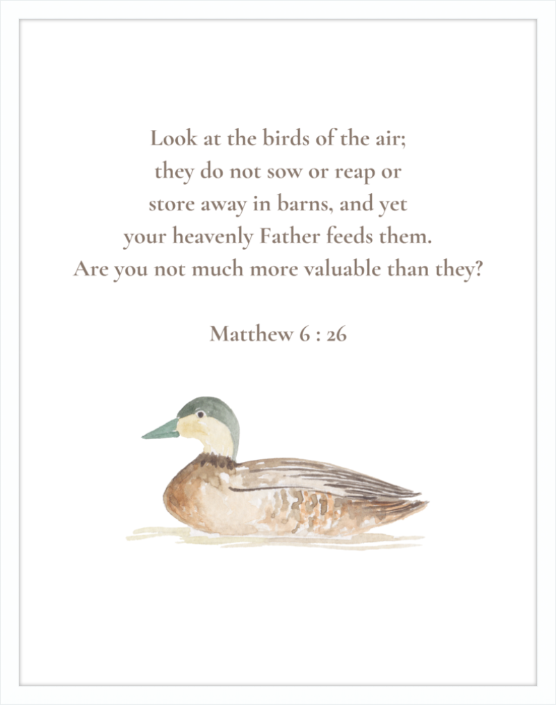 Matthew 6:26 NIV w/duck