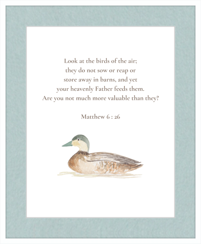 Matthew 6:26 NIV w/duck