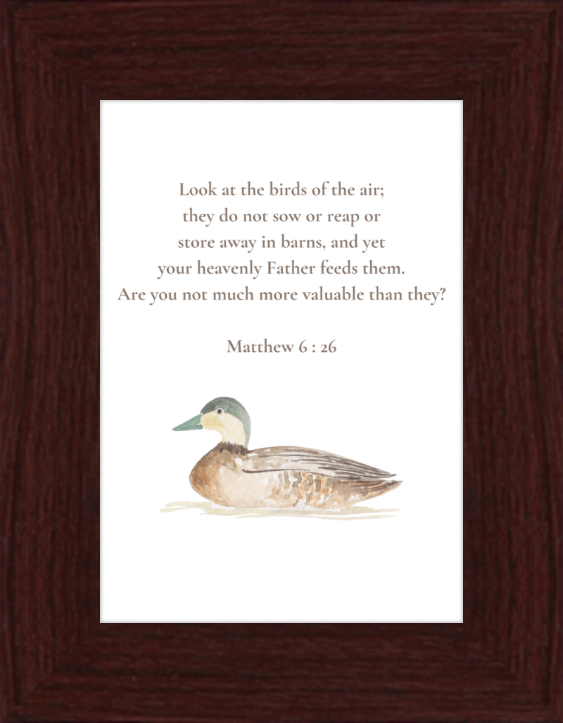 Matthew 6:26 NIV w/duck