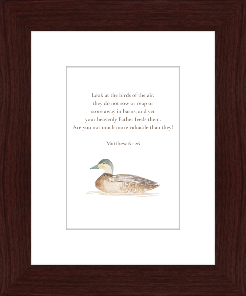 Matthew 6:26 NIV w/duck