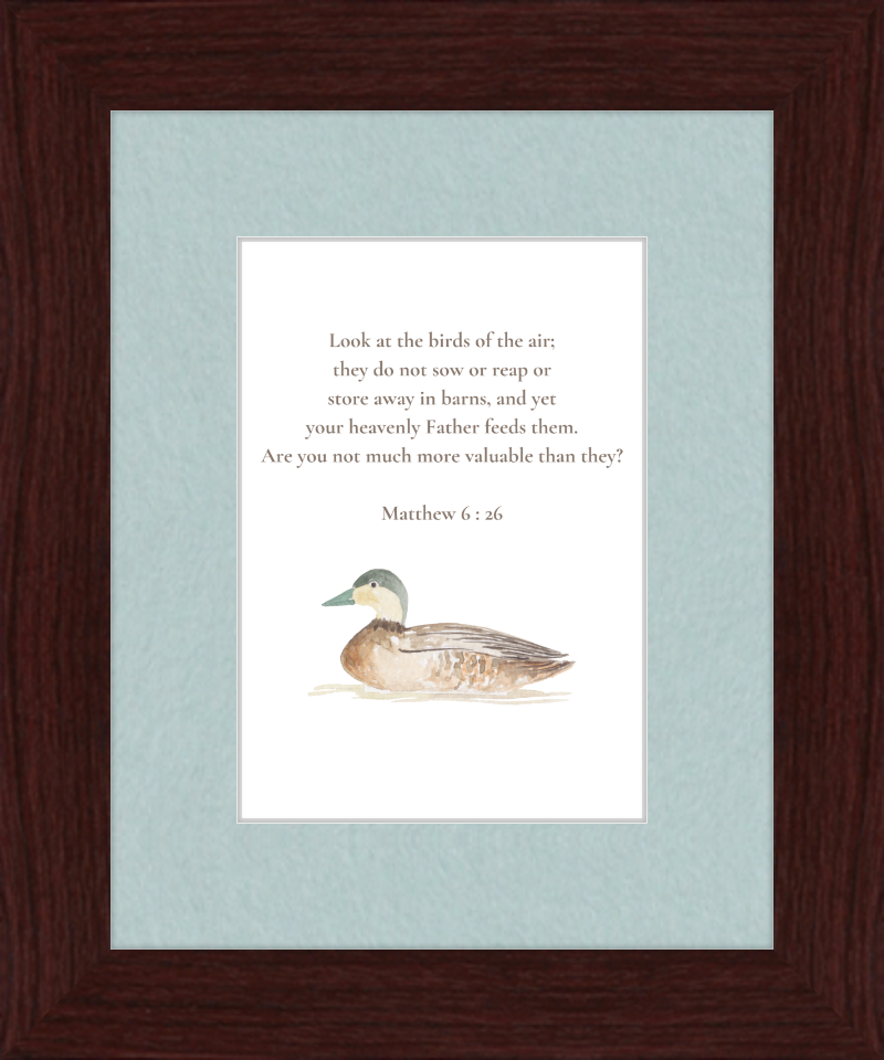 Matthew 6:26 NIV w/duck