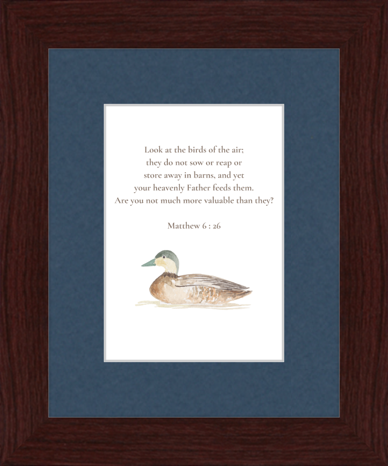 Matthew 6:26 NIV w/duck