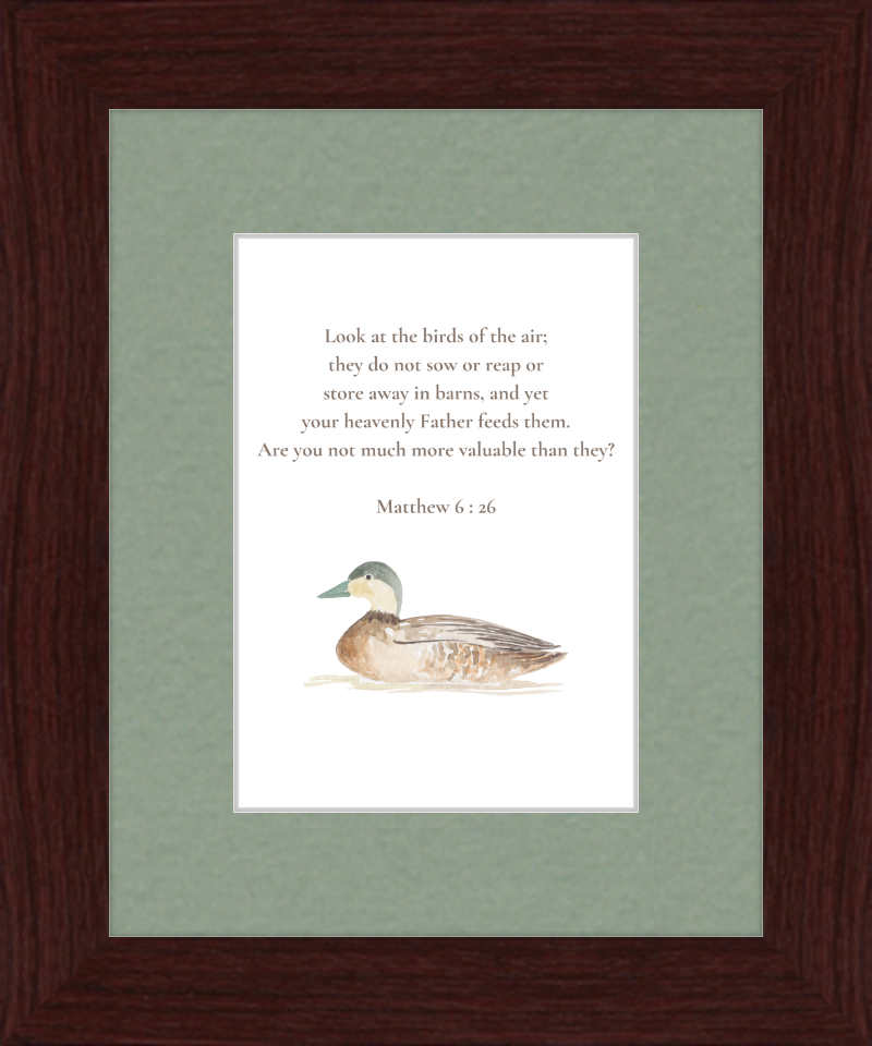 Matthew 6:26 NIV w/duck