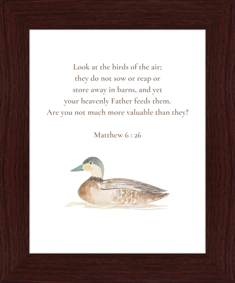 Matthew 6:26 NIV w/duck