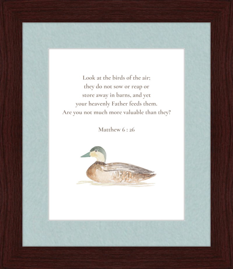 Matthew 6:26 NIV w/duck