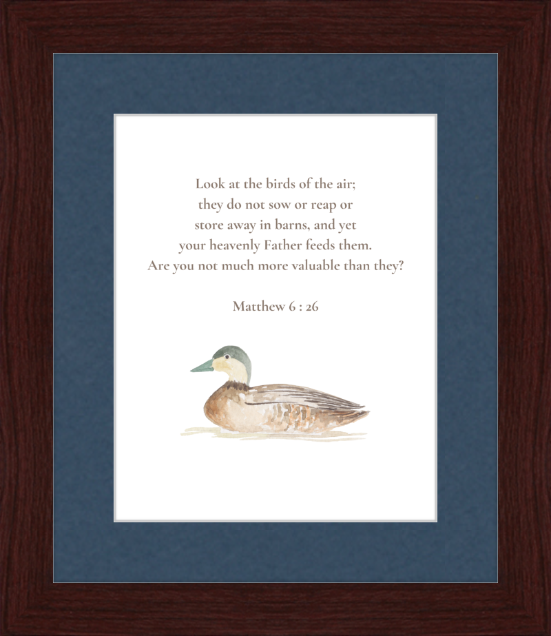 Matthew 6:26 NIV w/duck