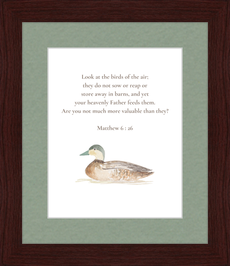 Matthew 6:26 NIV w/duck