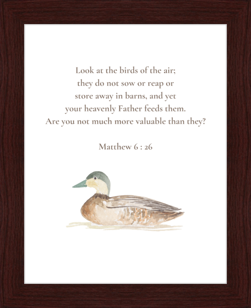 Matthew 6:26 NIV w/duck