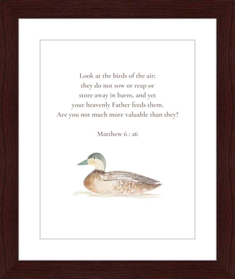 Matthew 6:26 NIV w/duck