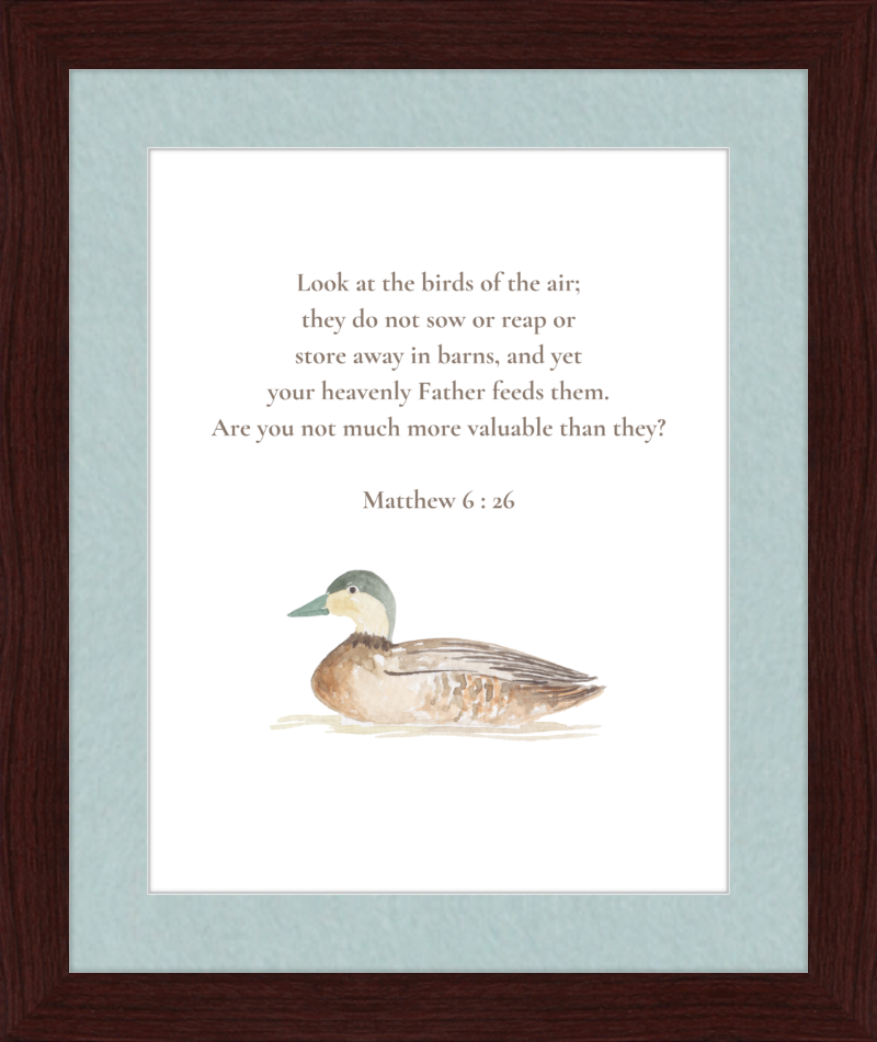 Matthew 6:26 NIV w/duck