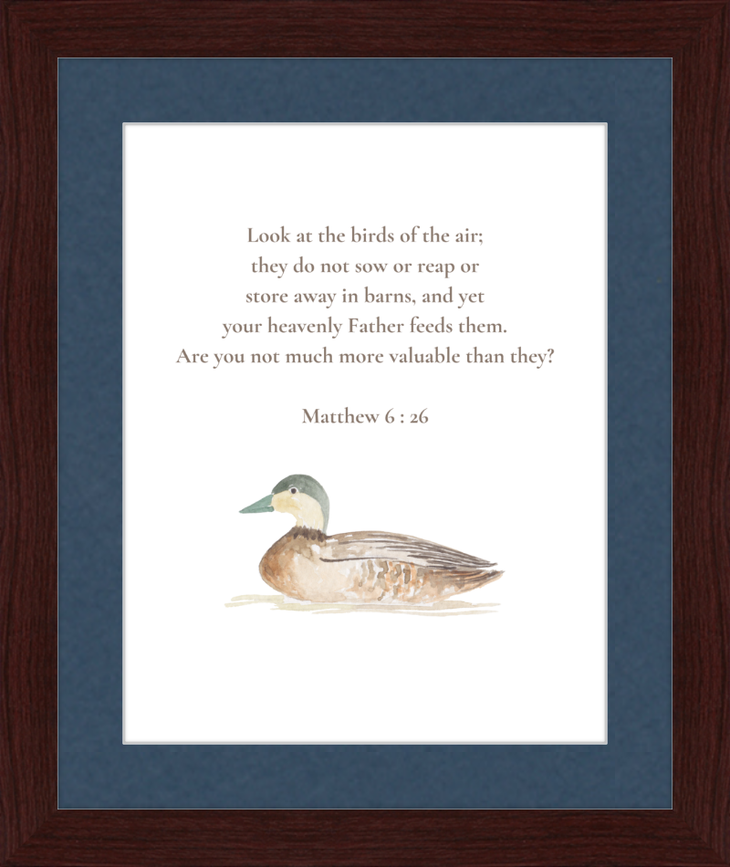 Matthew 6:26 NIV w/duck