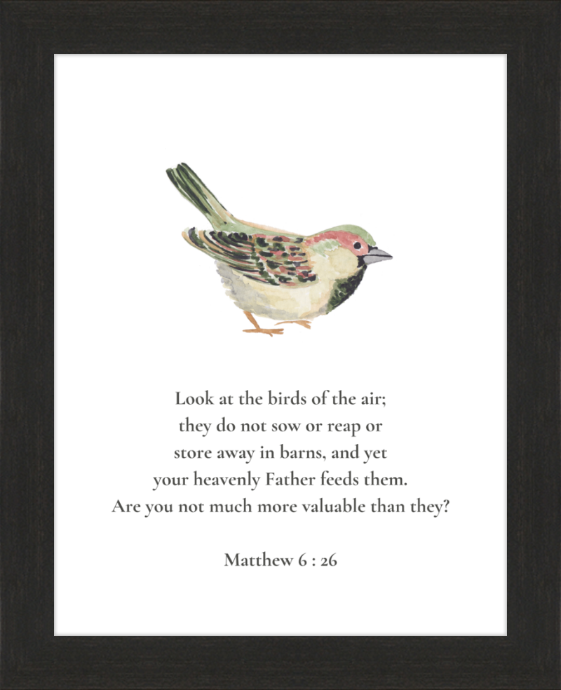 Matthew 6:26 NIV w/bird