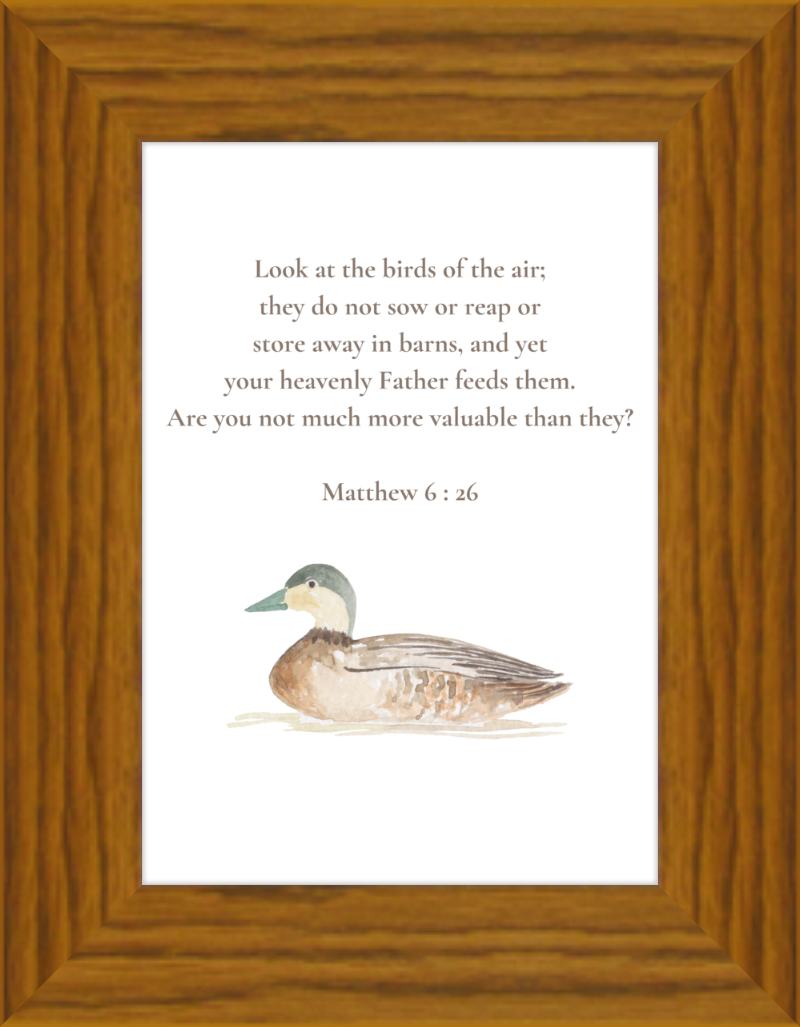 Matthew 6:26 NIV w/duck