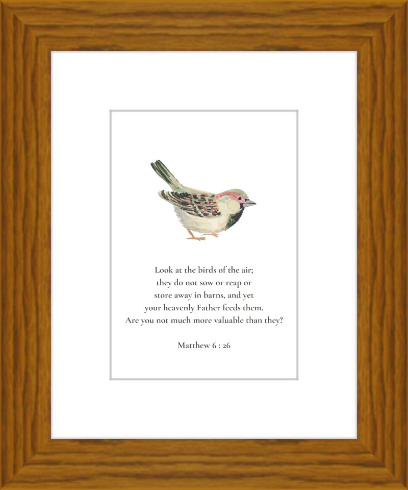 Matthew 6:26 NIV w/bird