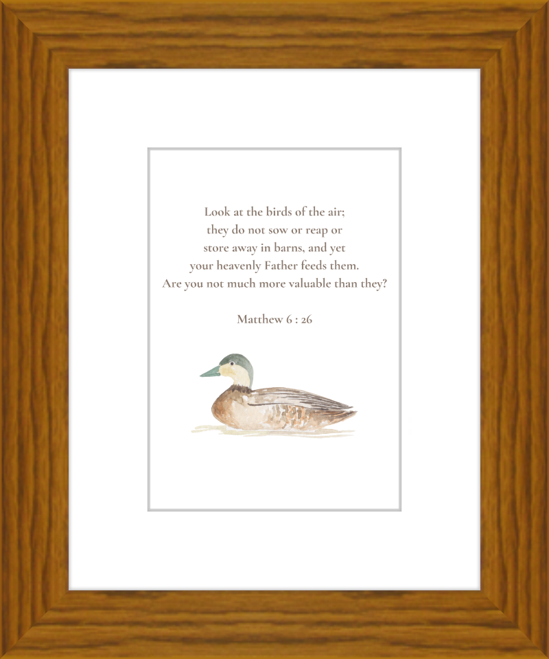 Matthew 6:26 NIV w/duck