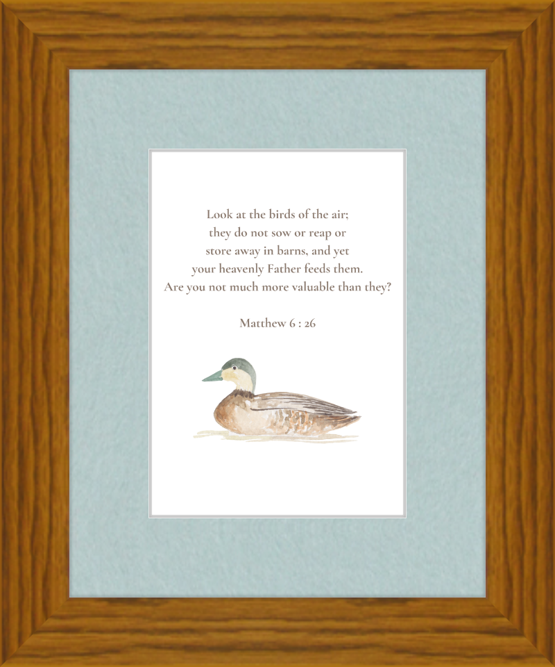 Matthew 6:26 NIV w/duck