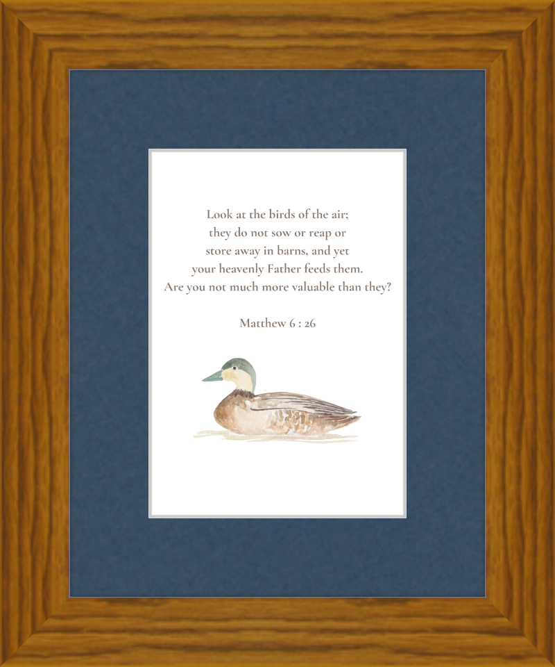 Matthew 6:26 NIV w/duck