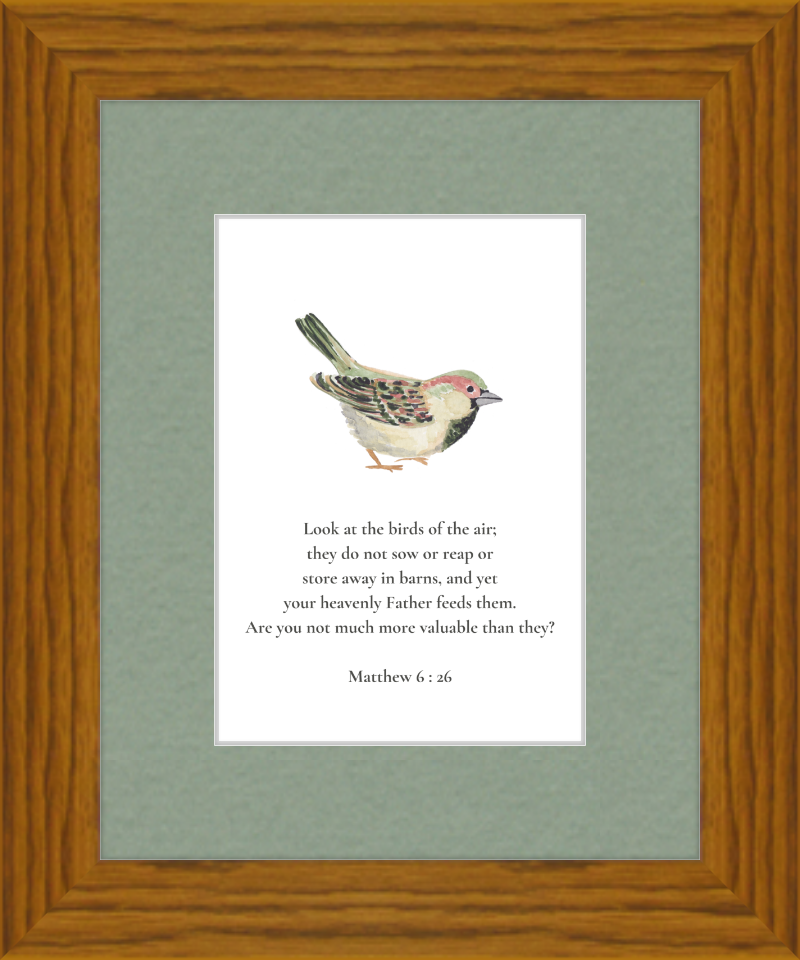 Matthew 6:26 NIV w/bird